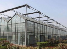 預防大雪壓塌及大棚溫室除雪方法大集合！