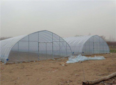 簡(jiǎn)易型拱棚